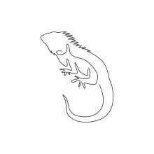 Exotic Iguana One Line Drawing for Simple Reptile Study