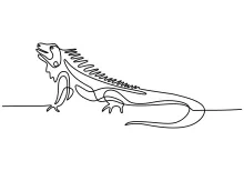 One Line Iguana Lizard Drawing to Develop Focus and Form