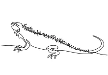 Learn to Draw an Iguana in One Line – Great for Reptile Fans