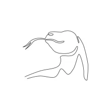 One Line Komodo Dragon Head Drawing for Reptile Anatomy Practice