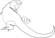 One Line Lizard Drawing: Explore Nature’s Unusual Reptiles with Simple Line Art