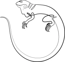 One Line Lizard Tutorial: Draw Cool Reptiles with Simple Techniques for All Ages