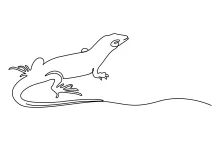 Easy One Line Drawing of an Adorable Desert Lizard