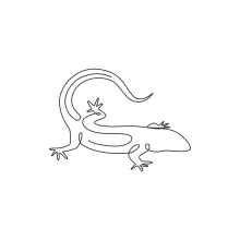 Simple One Line Drawing of a Desert Lizard to Explore Shape and Motion