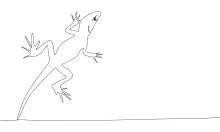 One Line Lizard Drawing: A Simple Way to Practice Reptile Body Shapes