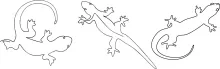 One-Line Lizard Trio Drawing: Easy Reptile Sketching with Repeated Shapes