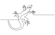 Learn Lizard Shapes with One Line Drawing: A Beginner's Guide