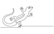 Easy One Line Lizard Sketch: A Fun Reptile Art for Beginners