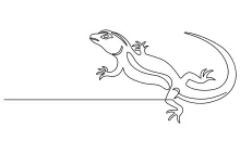 One Line Lizard Drawing: Learn Reptile Shapes in a Simple Way