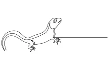 One Line Lizard Drawing: Fun and Simple Reptile Art