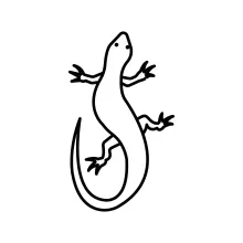 One Line Lizard Drawing: Reptile Art That Teaches Basic Shape Focus