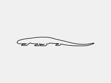 One Line Monitor Lizard Drawing: Learn Long Reptile Forms with Simple Lines