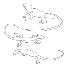 One Line Three Lizards Drawing: Explore Unique Reptile Forms with Beginner-Friendly Art