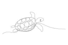 Sea Turtle One Line Drawing: Simple Marine Art for Beginners