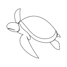 One Line Sea Turtle Sketch: Easy Marine Animal Art for Beginners