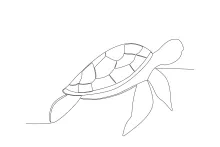 One Line Ocean Turtle Drawing: Simple and Soothing Animal Art Practice