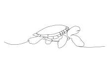 Simple One Line Sea Turtle Drawing: Learn Gentle Ocean Shapes Easily