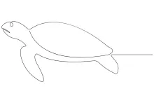 One Line Sea Turtle Art: Build Drawing Confidence with Simple Animal Shapes