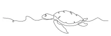 Easy One Line Drawing of a Sea Turtle: Great Practice for Ocean-Themed Art