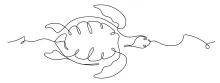 One Line Sea Turtle Drawing: Learn to Sketch Ocean Animals the Easy Way