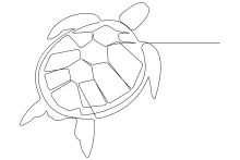 Draw a Sea Turtle with One Line: Simple Ocean Animal for Beginners