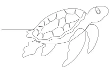 Draw Sea Turtles Simply: One Line Drawing to Learn Ocean Animal Shapes