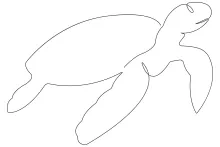 Draw a Sea Turtle Using One Line: Beginner-Friendly Marine Art Practice