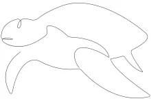 One Line Sea Turtle Drawing Guide: Fun Ocean Sketches for Young Artists