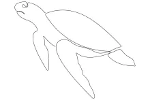 Learn to Draw a Sea Turtle in One Line: Great for Ocean Animal Fans