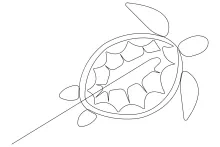 Sea Turtle One Line Art: A Simple Start to Drawing Marine Animals