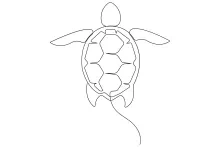 One Line Drawing of a Sea Turtle: Practice Smooth Animal Shapes Easily
