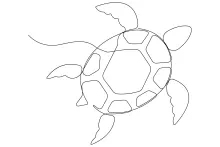 Learn to Draw Sea Turtles with One Line: Practice Shapes of Ocean Life