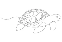 Simple Sea Turtle One Line Drawing for Ocean-Themed Art Projects
