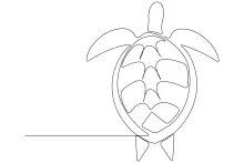 Learn One Line Drawing with Sea Turtles: A Relaxing Sketch for All Levels
