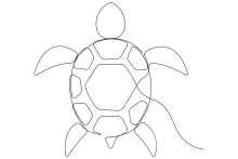 Easy One Line Drawing of Sea Turtle: A Great Animal for Art Starters