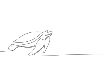 One Line Sea Turtle Drawing for Kids: Practice Marine Shapes with Simple Reptile Forms