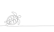 One Line Sea Turtle Sketch: Explore Ocean Animals with Basic Drawing Skills