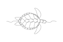 One Line Sea Turtle Sketch: Marine Reptile Practice for Artists of All Ages