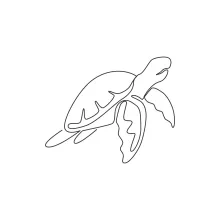Easy One Line Drawing of a Sea Turtle for Beginners and Nature Fans