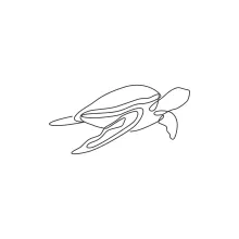 Simple One Line Sea Turtle Drawing to Explore Ocean Animals