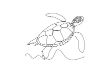 One Line Wild Sea Turtle Drawing: Build Ocean Animal Skills with Simple Art