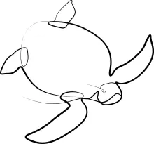 One Line Sea Turtles Drawing Idea: Learn Reptile Shapes the Easy and Fun Way