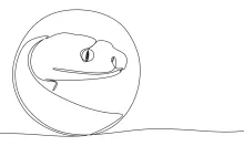 Snake in One Line: Learn Reptile Shapes in a Fun and Simple Way