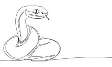 One Line Snake Drawing: Easy Reptile Art Practice for All Ages