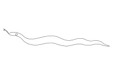 One Line Drawing of a Poisonous Reptile: Practice Simple Curved Shapes