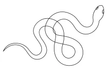 Simple One Line Drawing of a Venomous Snake for Reptile Practice