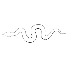 One Line Venomous Snake Drawing: Build Confidence with Bold Reptile Shapes
