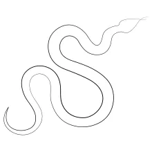 One Line Dangerous Snake Drawing: Study Reptile Shapes with Easy Art Steps