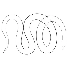 One Line Snake Drawing for Beginners: Study Reptile Silhouettes the Simple Way
