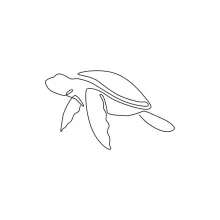 One Line Drawing of a Turtle – Practice Size and Shape in Simple Steps